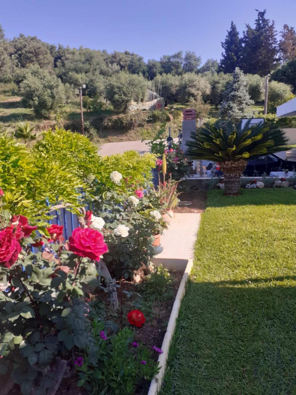 Willa Simos' Sea View House Nikopolis Zewnętrze zdjęcie